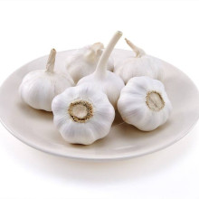 New Crop Chinese Fresh Natural White Garlic Wholesale